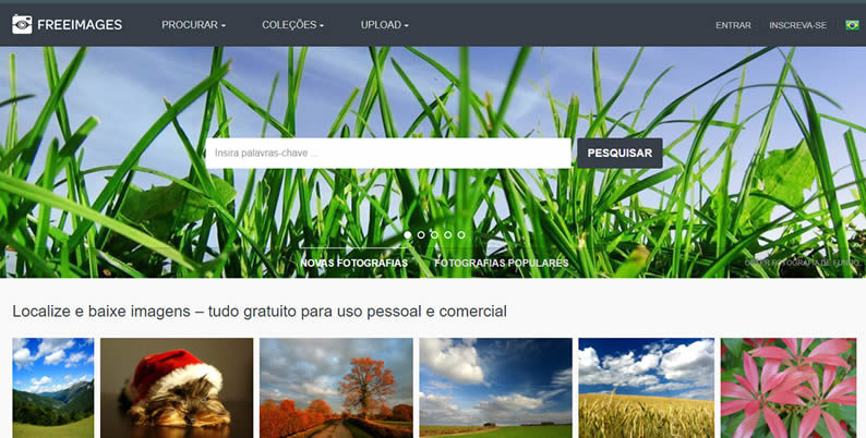 Os 4 Melhores Bancos de Imagens Gratuitos e sem Cadastro