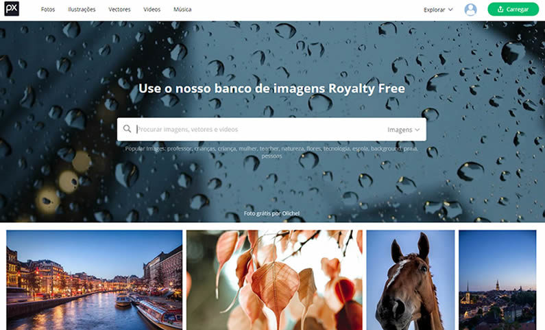 Bancos de Imagens Gratuitos em Alta Resolução e sem Cadastro